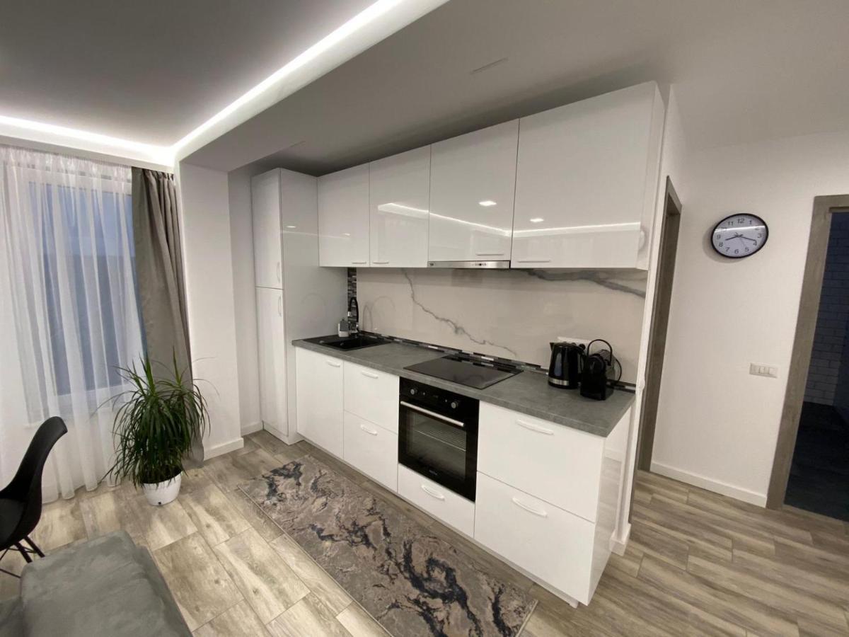 Ferienwohnung Lora Studio Suceava Exterior foto